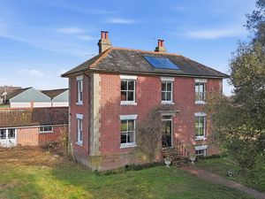 THE HAWK- click for photo gallery